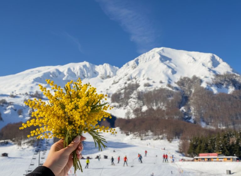 Offerta Festa della Donna a Campitello Matese